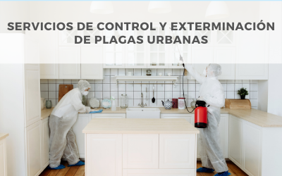 Miniatura del curso