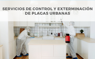 Servicios de control y exterminación de plagas en zonas urbanas