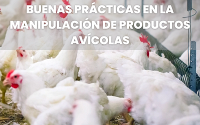 Buenas Prácticas en la manipulación de productos avícolas