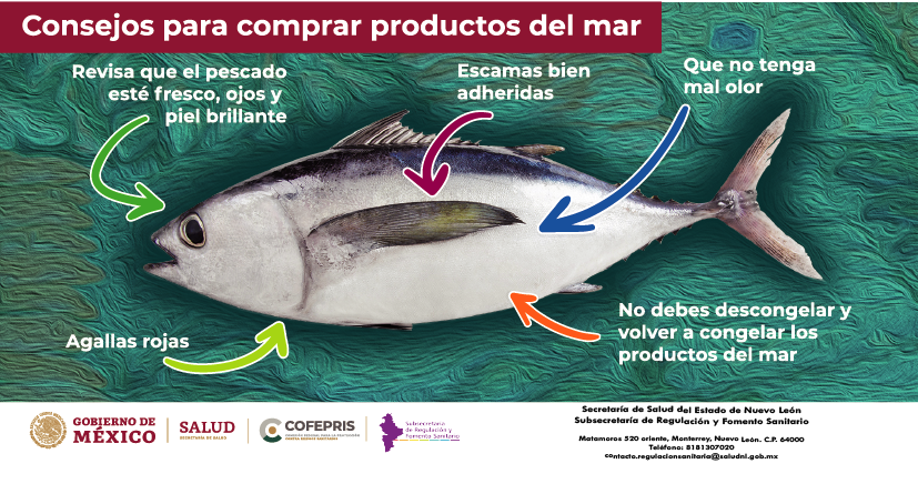 Consejos para comprar productos del mar