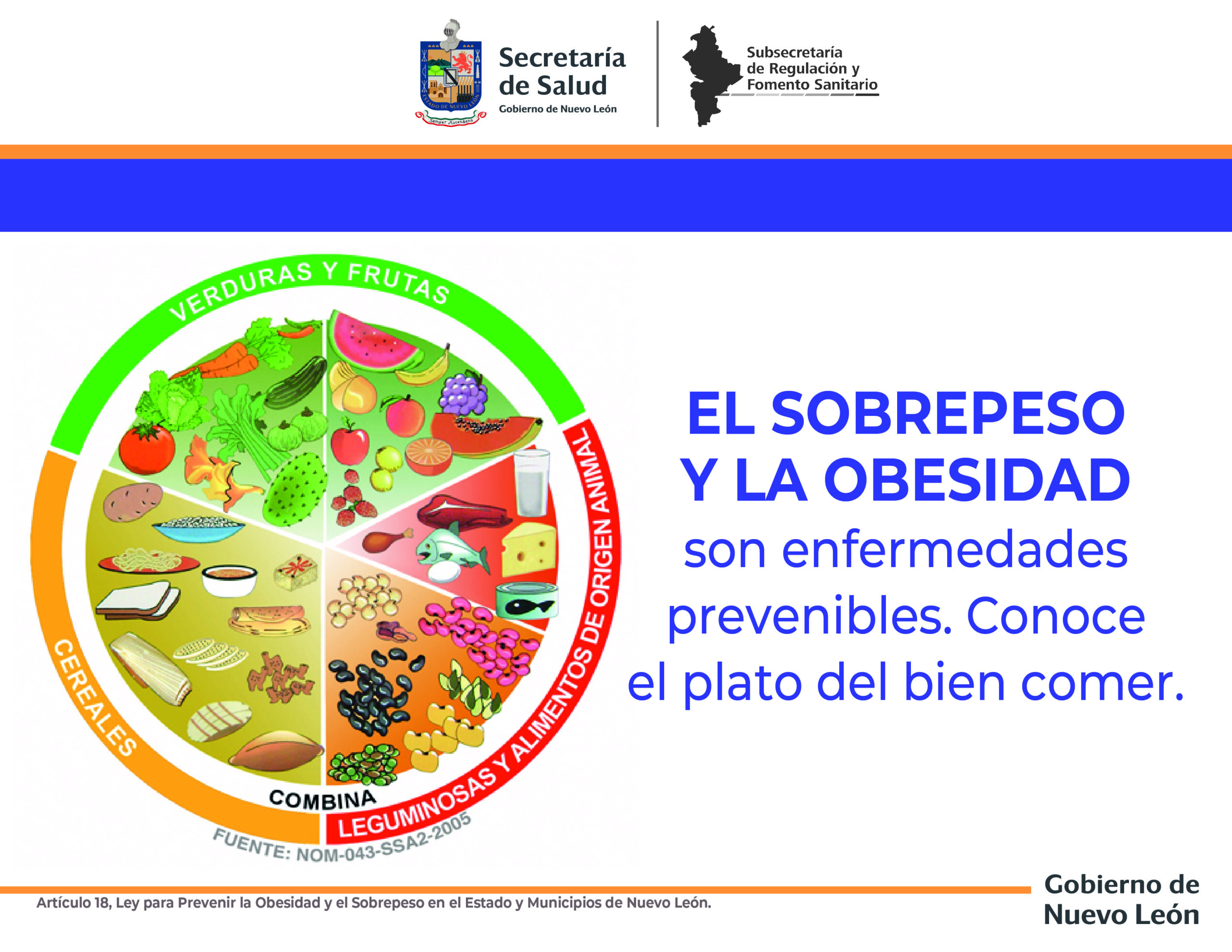 Cartel Prevención Obesidad 2 Subsecretaría De Regulación Y Fomento Sanitario 5234