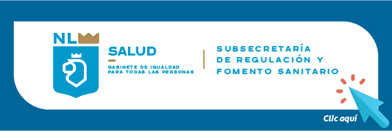 Guía Srfs Subsecretaría De Regulación Y Fomento Sanitario 1454